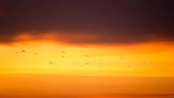 AWS Migration in 5 Simple Steps